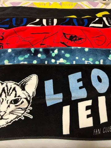 이에이리 레오 머플러 타월