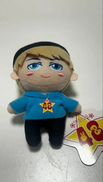 포에이트48 마스코트 봉제 인형 약 15cm