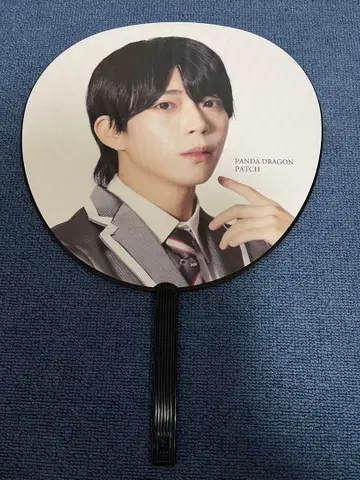 팬더 드래곤 파라곤 학원 팻치 부채 외부 가방 없음