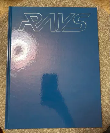 RAYS Snow Man 팜플렛