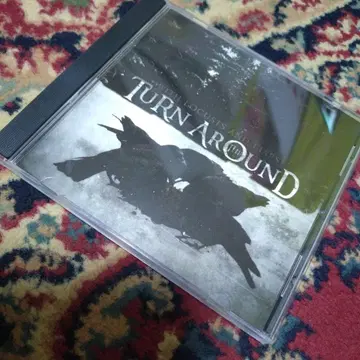 With Locusts and Liars TURN AROUND