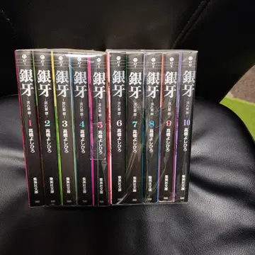 은아 별똥별 은 전권 세트