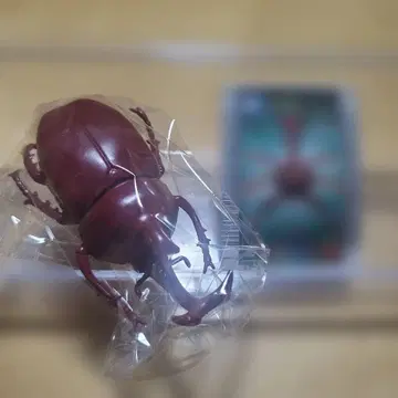 곤충왕자 무시킹 무시 피규어 컬렉션 2 무시킹