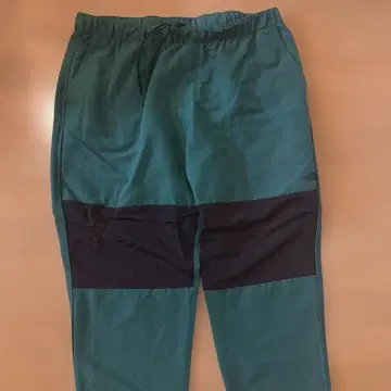 THE NORTH FACE 패널 디자인 팬츠 그린/블랙 XL