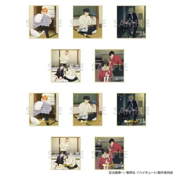 하이큐!! 트레이딩 미니 색지 결전 전야 이온 한정판