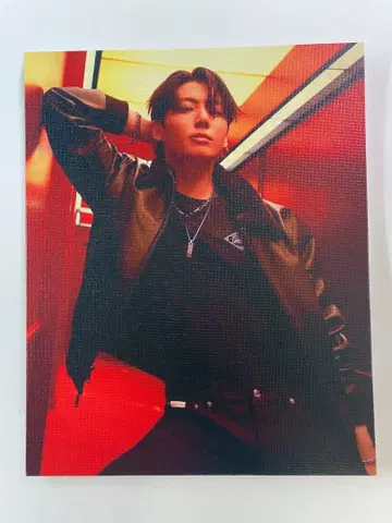 BTS 정국 캔버스 패널