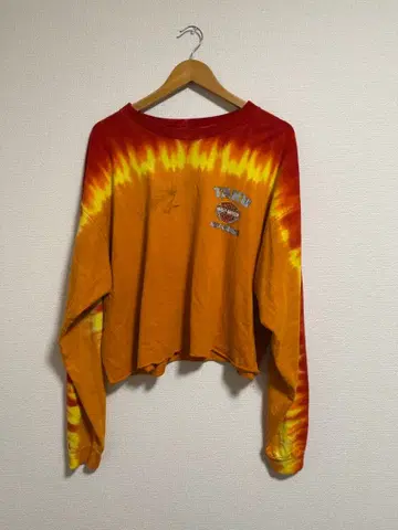 할리데이비슨 타이다이 크롭 맨투맨