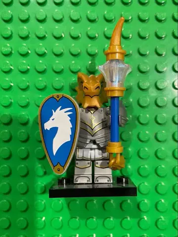 LEGO 미니피규어 DUNGEONS&DRAGONS