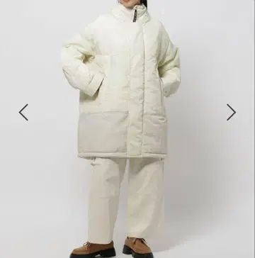 아라이 몬스터 블루종 L ecwcs 와일드 띵스 빔즈 보이 레리움