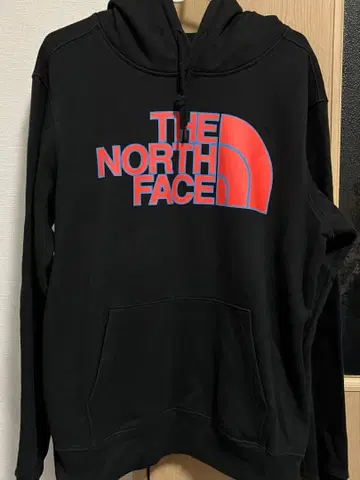 THE NORTH FACE 블랙 후드티