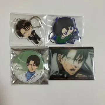 리바이 캔뱃지 키링 카드 세트