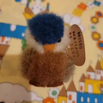 쇼와 레트로 세키구치 파랑 카모