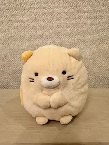 스미코구라시  고양이