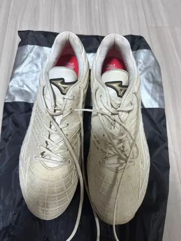 미즈노 스피드레보 스파이크 화이트