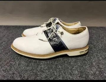 멋진 본격파 풋조이 골프화 프리미어 패커드54301J