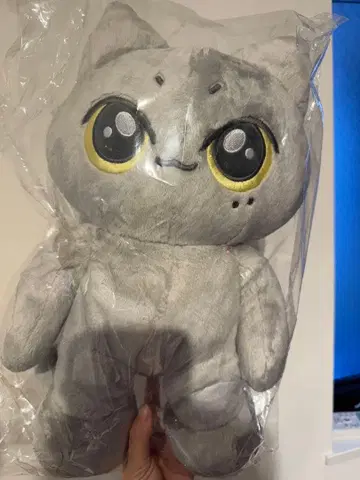 enhypen 제이 봉제 인형 50cm