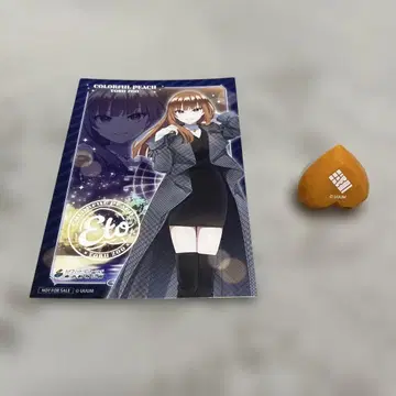 컬러풀 피치 토부 동물 공원 링 라이트 엽서