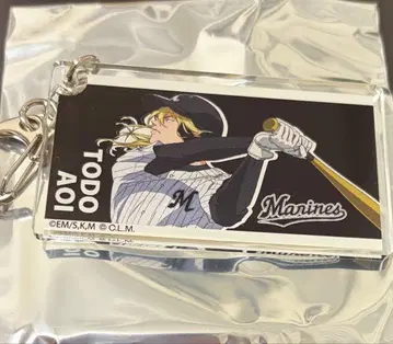 망각 배터리 토도 아오이 아크릴 키링