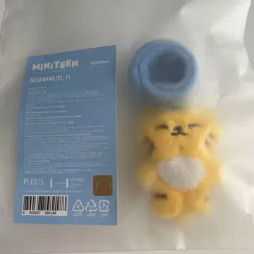 SEVENTEEN 월드 투어 NEW 인천 서울콘 데코밴딩 호시