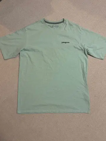 patagonia 민트 그린 T셔츠