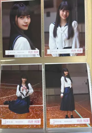 사쿠라자카46 무카이 이토하 브로마이드 여름의 지름길 MV 의상 컴프