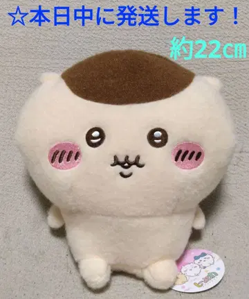 [ 치이카와 (먼작귀) 시이푸와 봉제 인형 [ 밤만주 ] ]