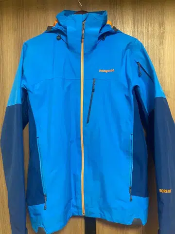 patagonia GORE-TEX 마운틴 파카 남성용