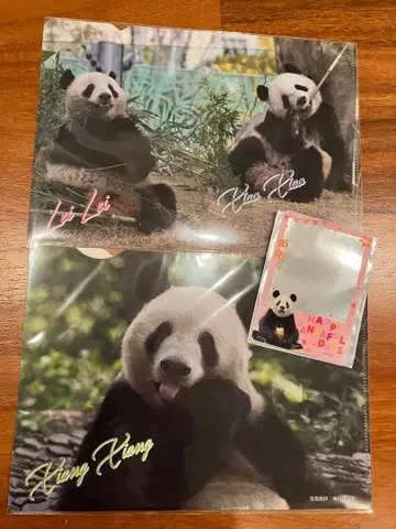 팬더 샹샹 샤오샤오 레이레이 클리어 파일 클리어 카드