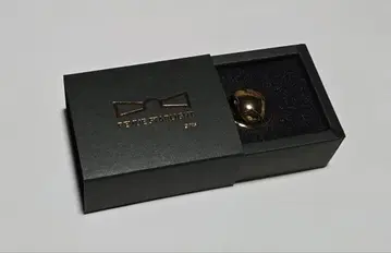 리뷰 스타라이트 입체 버튼 핀즈