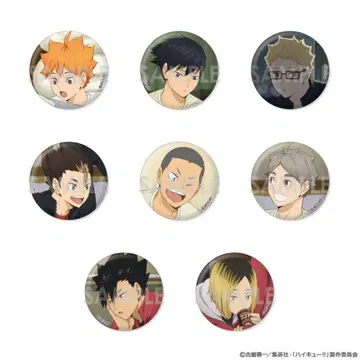 하이큐!! 트레이딩 캔뱃지 결전 전야! 이온 한정판