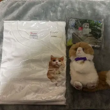 후지와라 이츠키 멘프로 마스 3종 세트