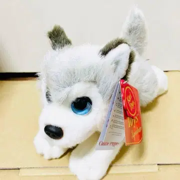 택 포함 새상품 봉제 인형 개 허스키 keel Toys 키엘토이즈 해외