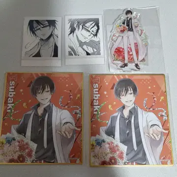 서뱀프 파샤코레 제비뽑기당