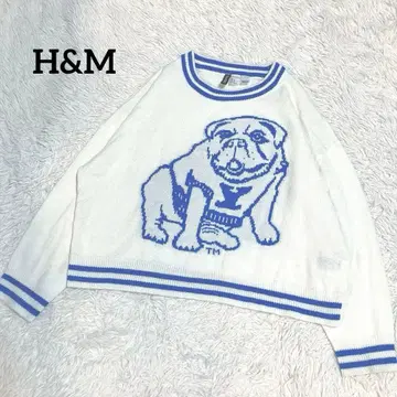 H&M 에이치앤엠 불독 니트 스웨터 XL 빅 사이즈