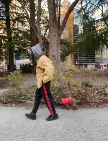 1990's Dickies 커버올 자켓 멕시코