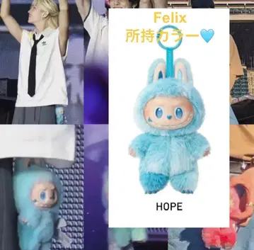 러브브 felix 커플템 HOPE 블루 Biginto energy 정품