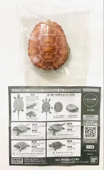 생물대도감 어드밴스 거북 02 이시가메 오렌지