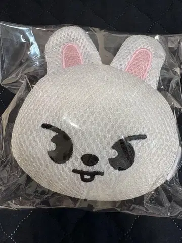 StrayKids 스키즈 popup 팝업 리노 Lee 비트 스펀지