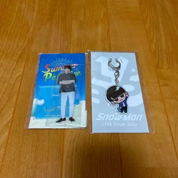 와타나베 쇼타 서머 파라다이스 아크릴 스탠드 스노우 칠 키링