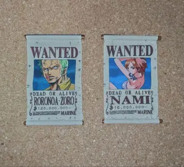 레어 원피스 수배서 조로 나미