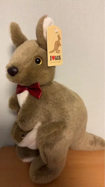 캥거루 봉제 인형