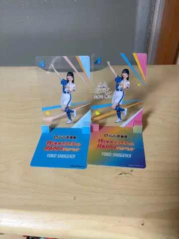 쇼겐지 요코 CoCo 아크릴 시트