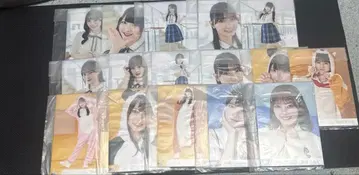 [현품 한정] 노이 브로마이드 미개봉 팩 묶음 판매