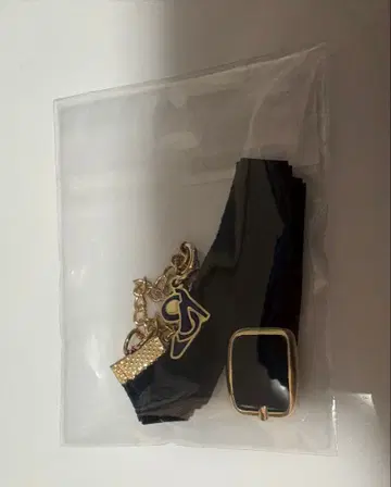 Shirayuki's FAN Meeting 모티브 부착 초커