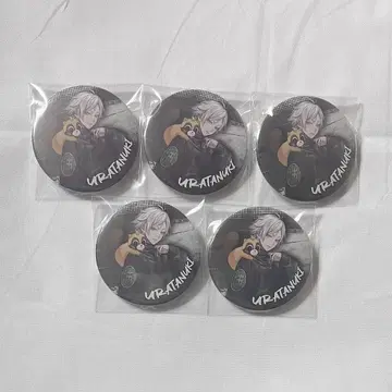 우라시마사카타센 우라타누키 캔뱃지