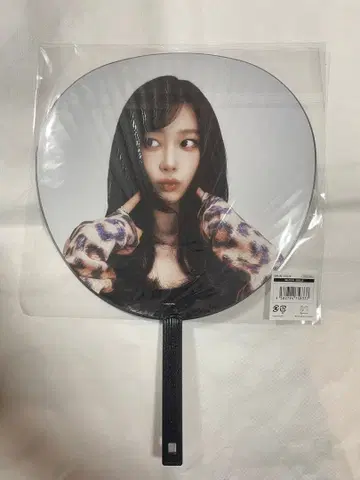 aespa 2025 LIVE TOUR 부채 지젤