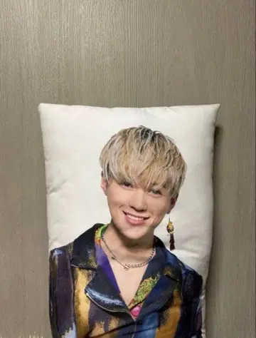 넷쵸 야기 유세이 쿠션