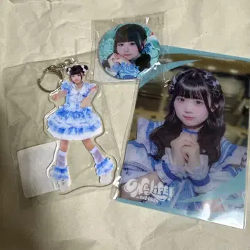 무지개 깃털 미니