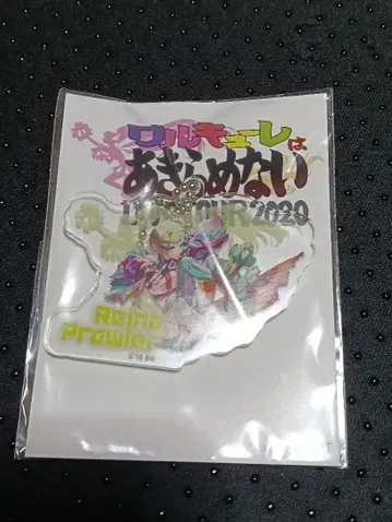 마크로스 발키리 포기하지 않아 아크릴 키링 레이나