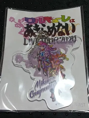 마크로스 발키리 왈츠는 포기하지 않아 아크릴 키링 미쿠모